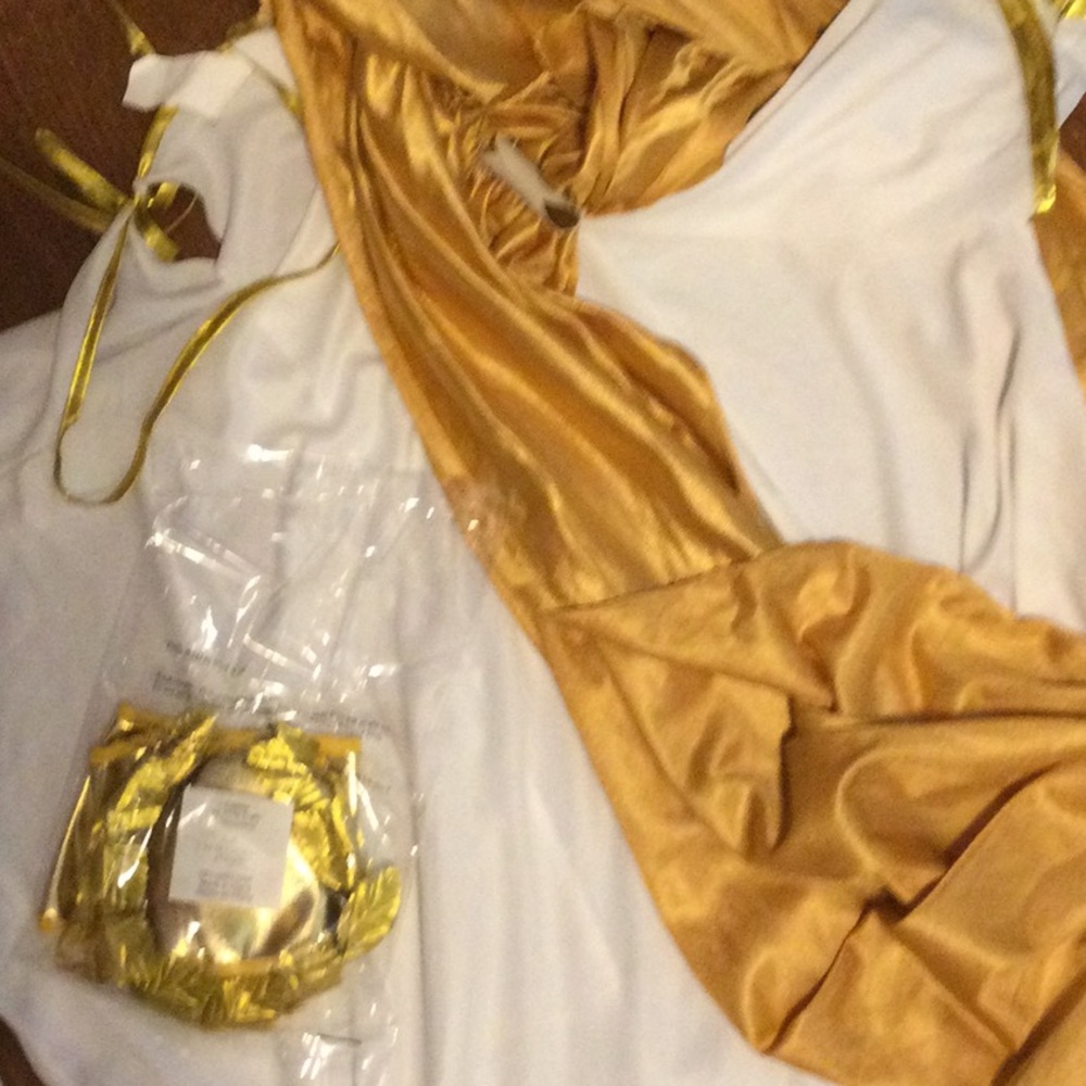 Men’s Caesar costume size 2X - Picture 4 of 8